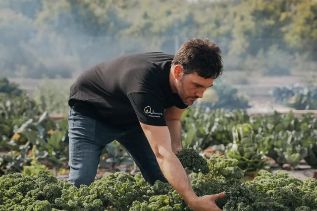 Kale en la huerta, de cerca